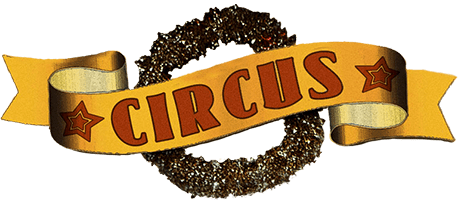 titre pour un spectacle cirque tout public